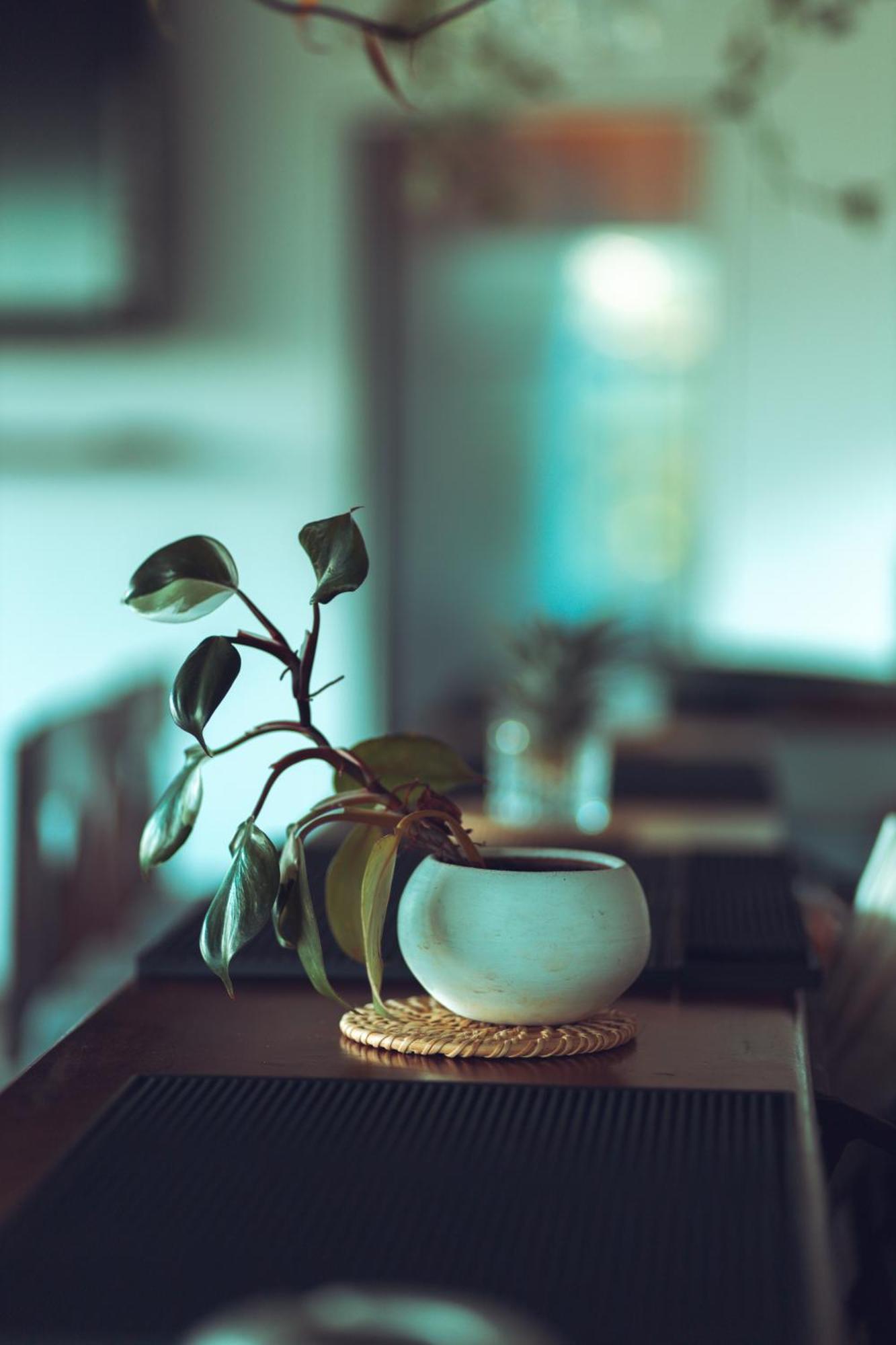 Ella Soul Resort エクステリア 写真
